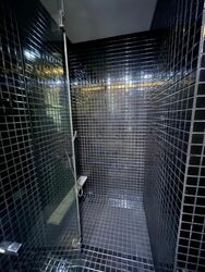 Skysuites@Anson (D2), Apartment #461042801